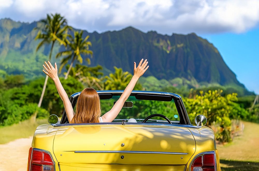 Rental Cars