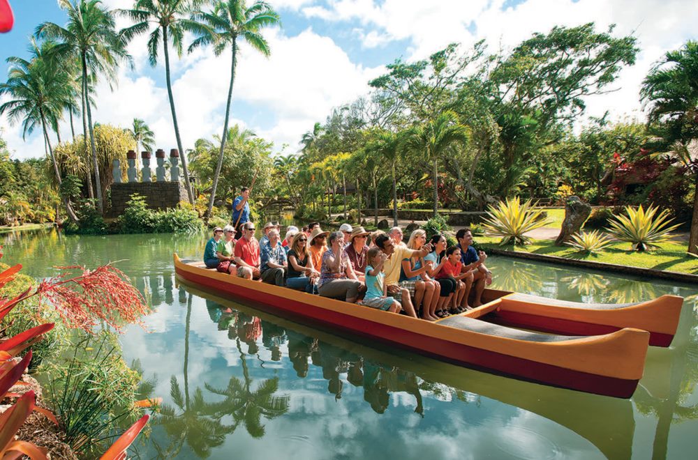 Local Tours and Activities