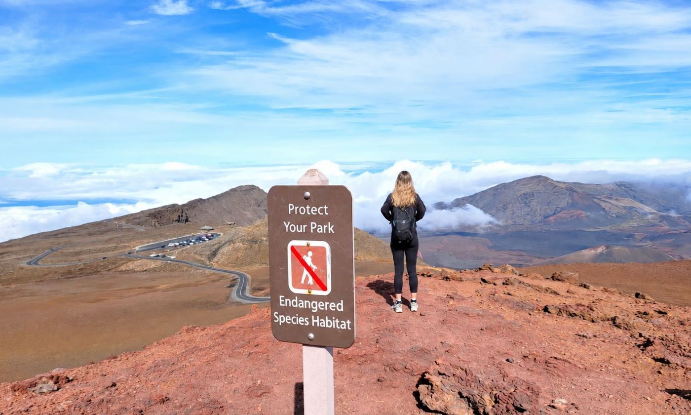 The summit marker at Puuulaula, 10,023 feet