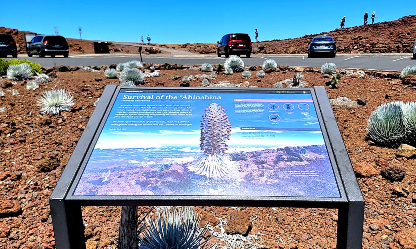 Silversword interpretive display near the Haleakala summit