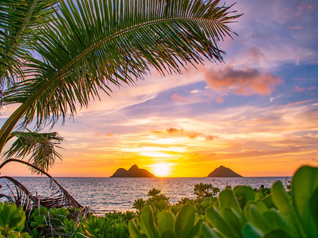 Oahu