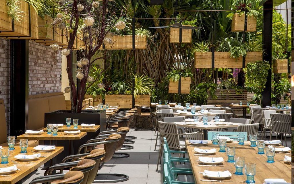 Herringbone Waikiki on the Grand Lanai at International Market Place