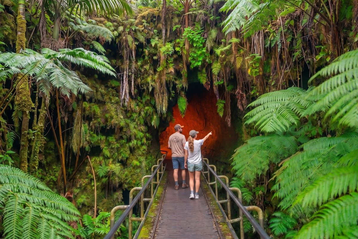 The rainforest entrance to the Thurston Lava Tube